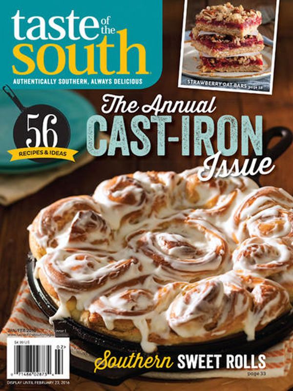 taste of the south magazine