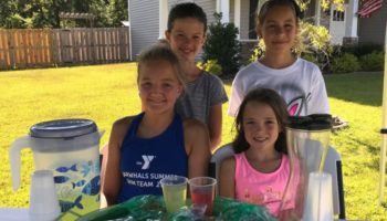 lemonade and cookie stand